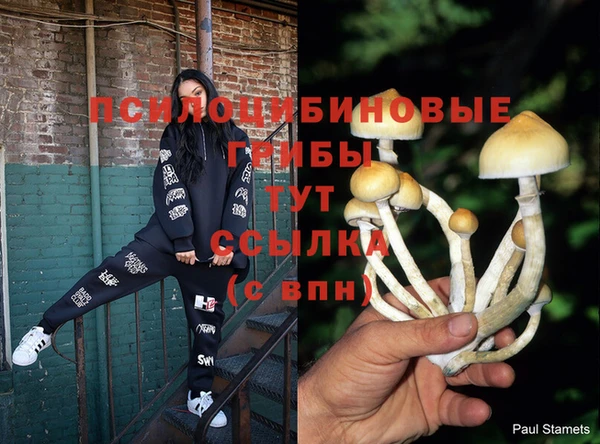 Альфа ПВП Михайлов