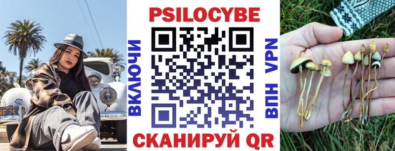 Псилоцибиновые грибы мицелий  маркетплейс Telegram  Юрюзань 